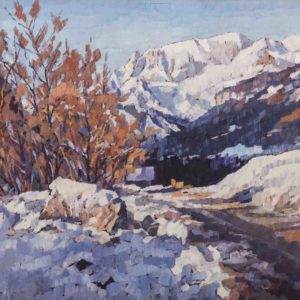 Inverno in Val di Fassa 1988